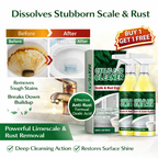 Oxalic Acid Cleaner | Scale & Rust Expert | BUY 1 GET 1 FREE!