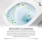 Oxalic Acid Cleaner | Scale & Rust Expert | BUY 1 GET 1 FREE!
